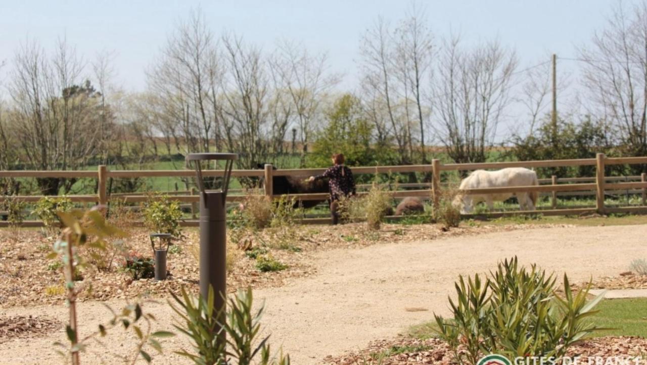 Vila Domaine De Kerantroad Plonévez-Porzay Exteriér fotografie